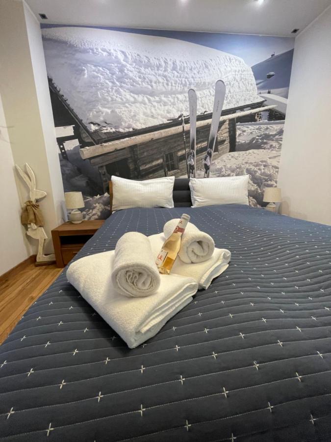 Spa Apartament Jenny Ski&Fun Widok Na Skrzyczne I Skocznie "Skalite" 슈차이르크 외부 사진